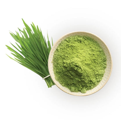 Wheatgrass Powder-Wheat Grass Powder Raw Herbs Quality Products at Unbeatable Wholesale Rate Price Bulk Purchase