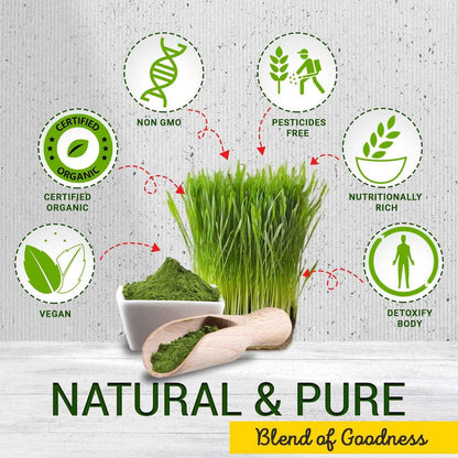 Poudre d'herbe de blé | Poudre verte naturelle pour smoothies, jus et usage quotidien