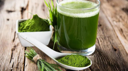Poudre d'herbe de blé | Poudre verte naturelle pour smoothies, jus et usage quotidien