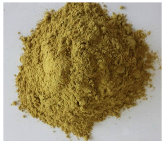 Dronpushpi Powder - Dron Pushpi Powder - Leucas Cephalotes  -100% Pure & Natural Herbal Powder
