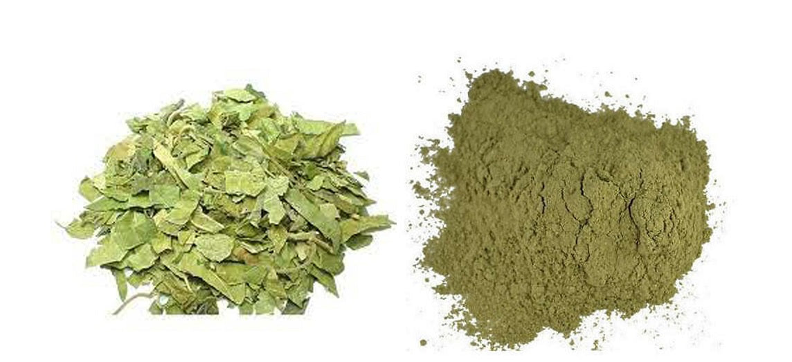 Gudmar Leaves Powder-Gymnema Sylvestre-Madhunashni Powder-Madhunashni Powder-Nagapushpi Powder Raw Herbs Quality Products at Unbeatable Wholesale Rate Price Bulk Purchase