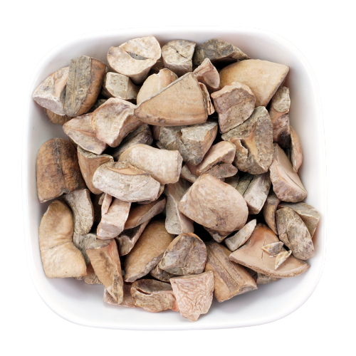 Mango Seed Kernel-आम का बीज-Aam Guthali-Mangifera Indica