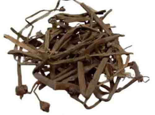 Netrabala Root-Pavonia Odorata-नेत्रबाला-Netra Bala-Hrivera-Balaka-Raw Herbs-Jadi Booti-Single Herbs