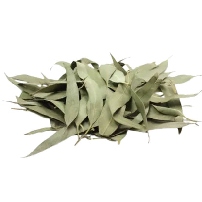 Nilgiri Leaves – Dried Eucalyptus Leaves – Thailam Leaves – Neelgiri Loose Leaf