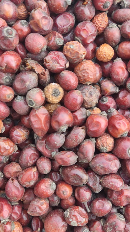 Dried Rosehip Fruit - Rose Hip - Rose Haw - Rose Hep - Rosa Canina - Rose Hips - Raw herbs - jadi booti - single herb