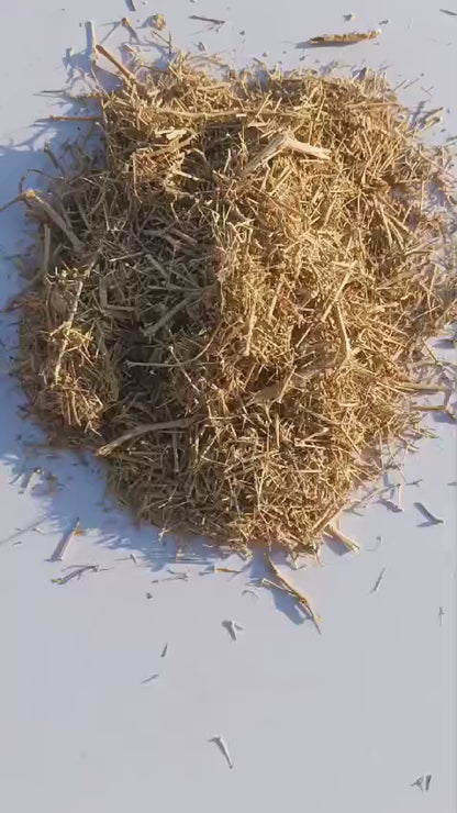 Dhamasa-Damasha-Dhamaasa(Panchang) Dried-धमासा-Desert Fagonia Cretica-Raw Herbs-Jadi Booti