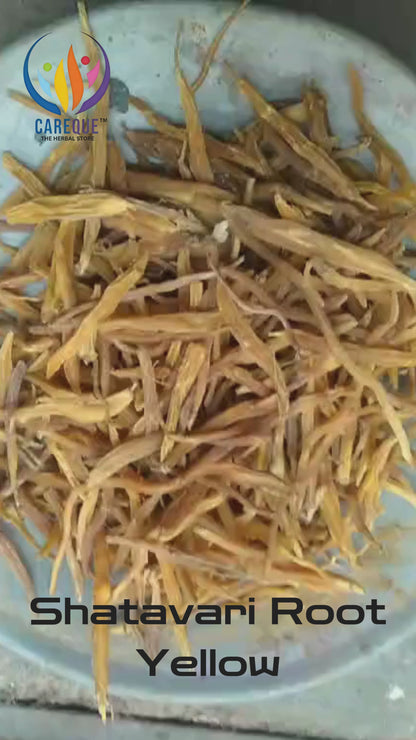 Shatavari Root Yellow-Sitawar Jad Pili-शतावरी की जड़ें-Asparagus racemosus Dried-Raw Herbs Jadi Booti