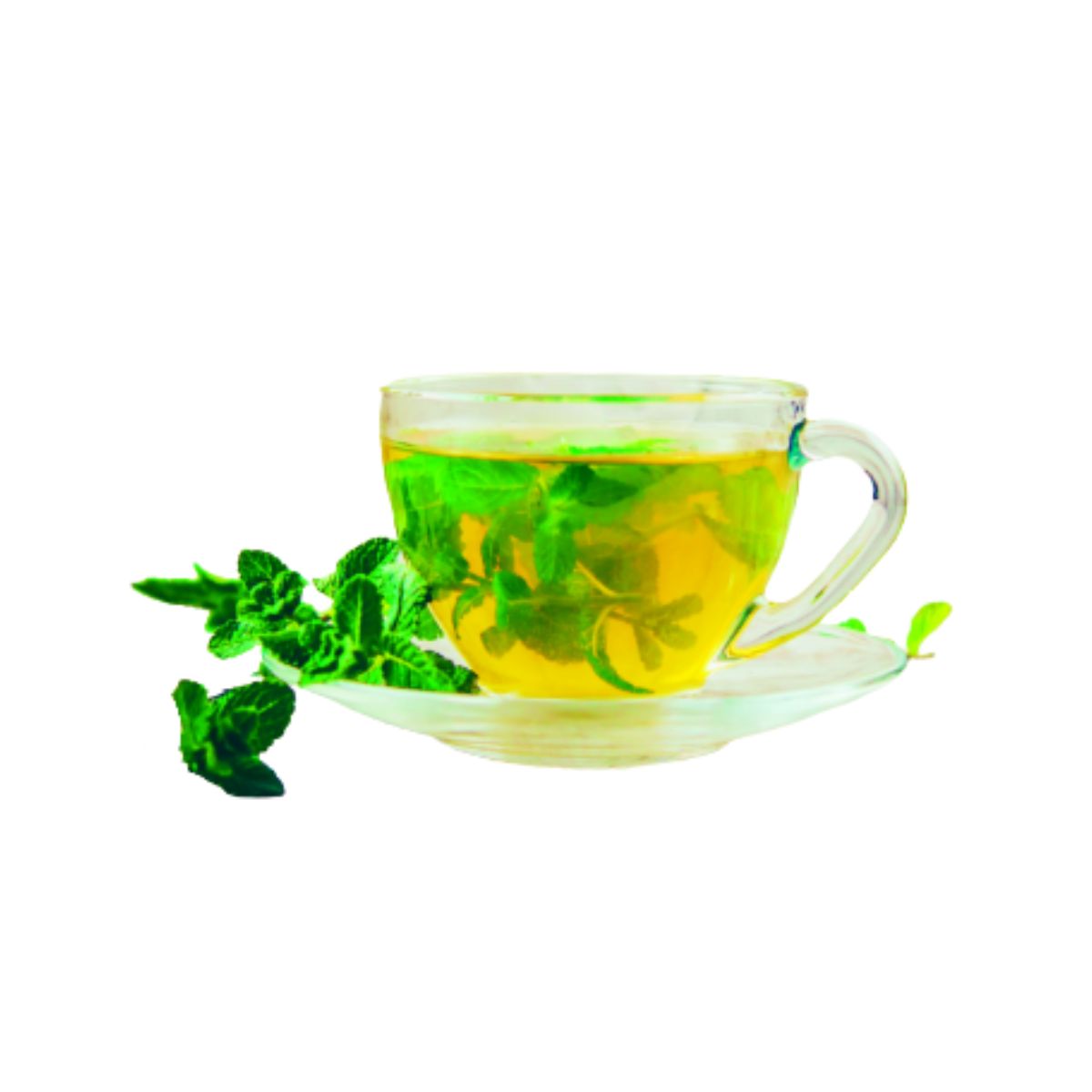 Dry Mint Leaf Tea | Sukha Pudina Patti | Herbal Tea for Digestion, Refreshing Aroma & Flavor | 100% Natural & Pure | Caffeine Free Herbal Infusion - 20 Gram