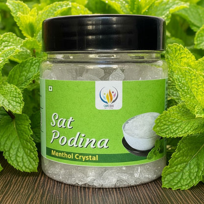 Sat Podina - Pudina Ka Phool - मेन्थॉल - Menthol - Peppermint - Mentha Arvensis