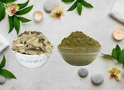 Senna Patta Powder-Senna Leaf Powder-Sanay Leaves Powder-Sonamukhi Leaves Powder Sona Patta Powder Raw Herbs Quality Products at Unbeatable Wholesale Rate Price Bulk Purchase