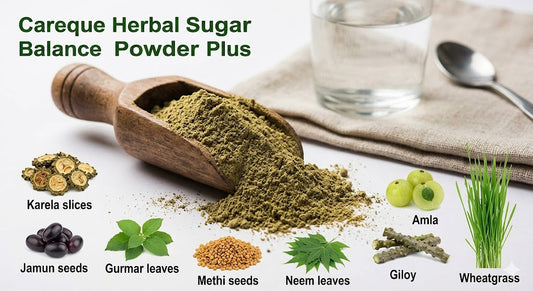 Careque Herbal Sugar Balance Powder Plus – Herbal Wellness Blend | Karela Jamun Gudmar Methi | Plant-Based Daily Support Powder | No Preservatives