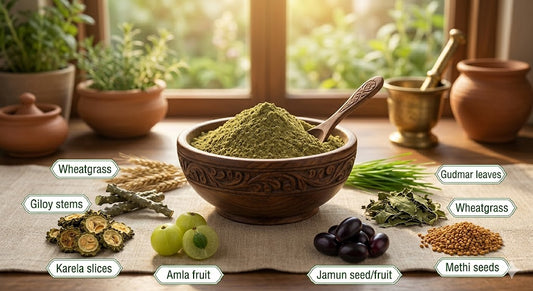 Careque Herbal Sugar Balance Powder Plus – Herbal Wellness Blend | Karela Jamun Gudmar Methi | Plant-Based Daily Support Powder | No Preservatives