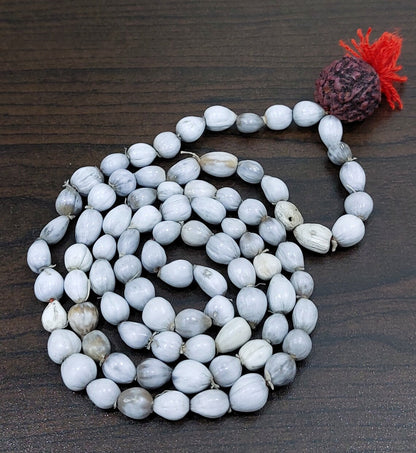 Vaijanti Mala-Vaijanti Mala With Rudraksha-Vyjanthi Beej Mala-Vaijayanti Necklace Prayer Beaded Mala(Length - 49 cm, Beads - 108, Rudrakhsh - 1)