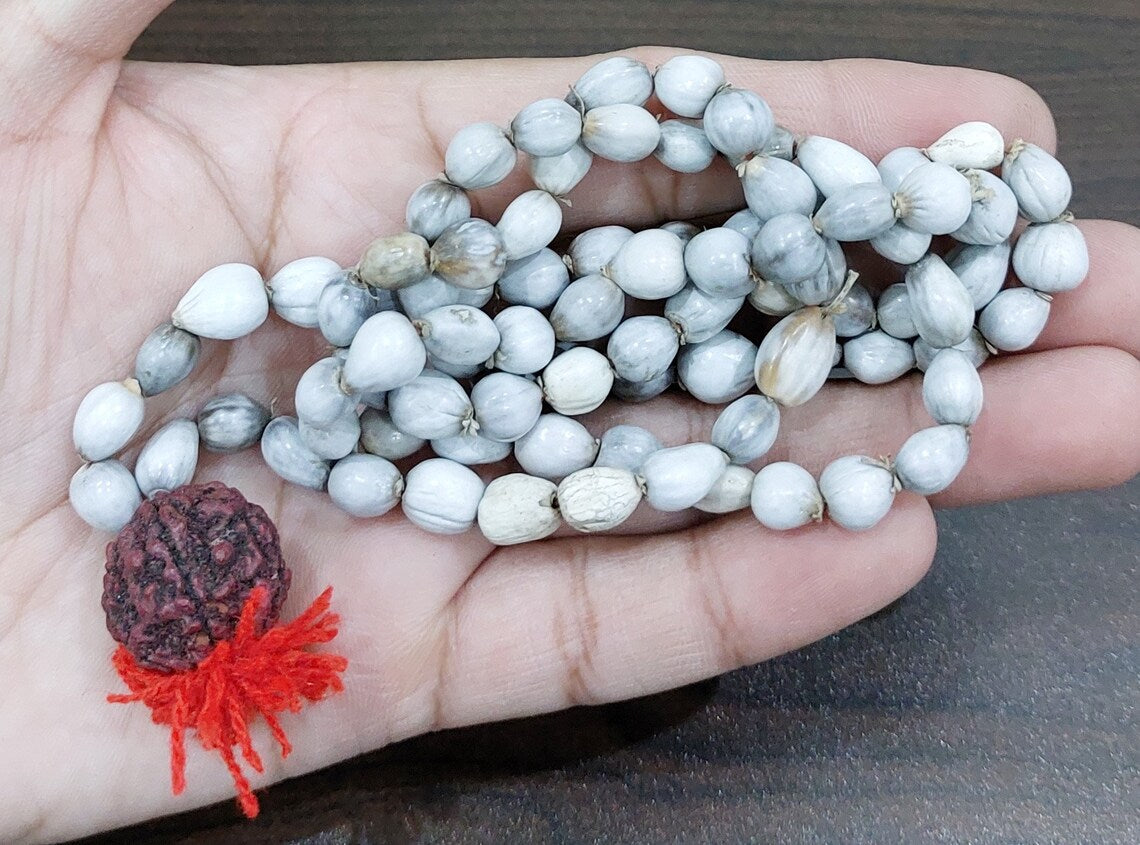 Vaijanti Mala-Vaijanti Mala With Rudraksha-Vyjanthi Beej Mala-Vaijayanti Necklace Prayer Beaded Mala(Length - 49 cm, Beads - 108, Rudrakhsh - 1)