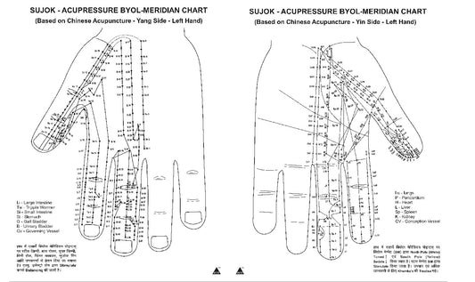 Sujok Acupressure Byol Meridian Chart B/W-ब्योल मेरिडियन चार्ट-Code 1602-The Biol Meridian Points Shown in The Hand With Tools