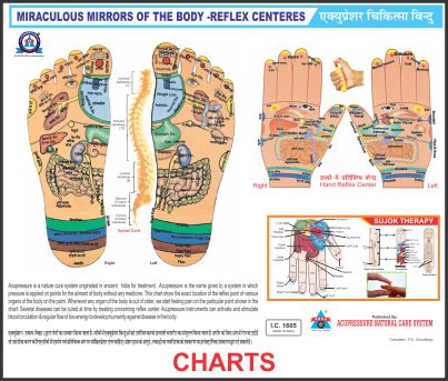 Acupressure + Sujok Chart Reflex Big Size (23X36) AC-1605(BIG)