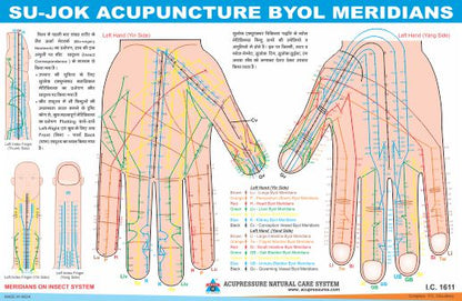 Sujok Acupressure Byol Meridians Chart AC-1611