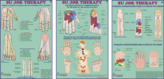 Acupressure Sujok Therapy Chart-Set of 3 20x30 AC-1612