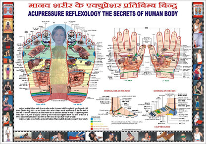 Acupressure Reflexology Chart-Big 18X23 AC-1614