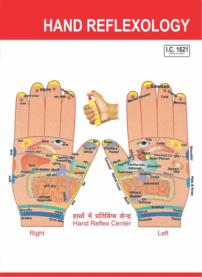 Acupressure Reflexology - V.Card - Hand 100pc AC-1621(A)