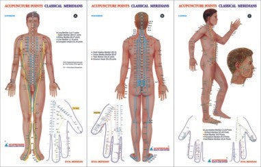 Acupuncture Chart - Meridian Set of 3 (23x36) AC-1623