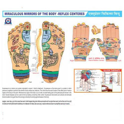 Acupressure Reflexology Chart+Sujok (11x18) AC-1627