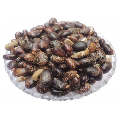 Arandi Beej-Castor Seeds-अरंडी बीज-Erand Seeds-Ricinus communis-Raw Herbs-Jadi Booti