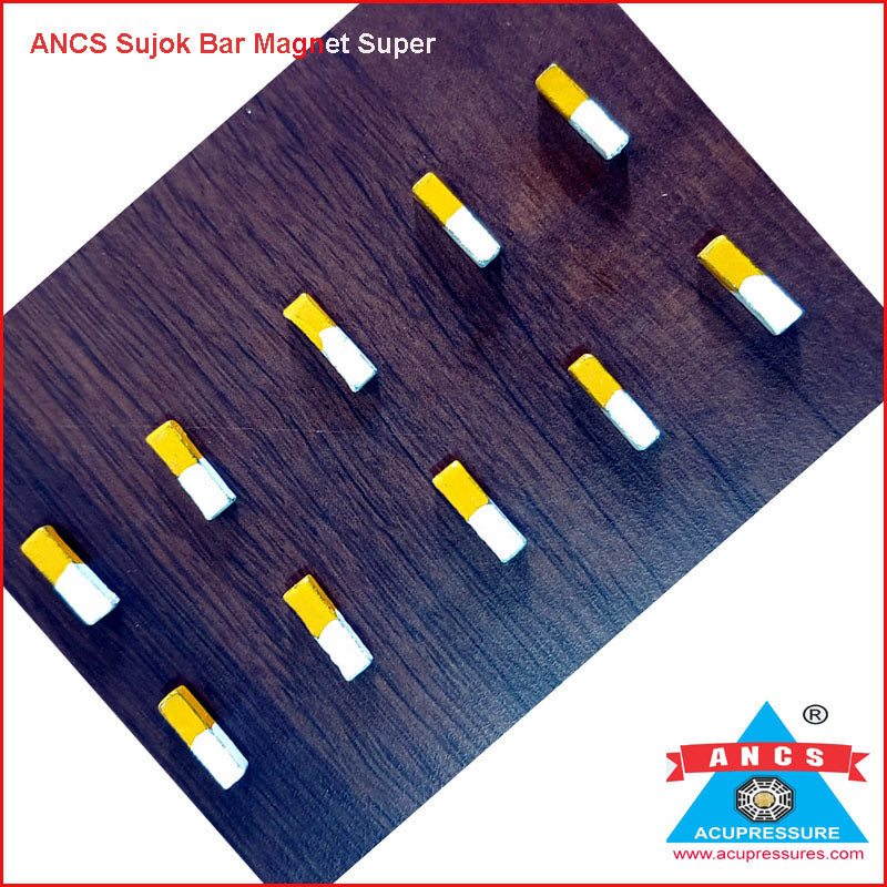 Sujok Bar Magnet Super Set-10-सुजोक बार मैगनेट सुपर (सेट-10) AP-351