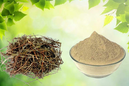 Bhumi Amla Powder-Bhumi Aamla Powder-भूमि अमला-Dried Bhoomi Awla-Phyllanthus Niruri-Raw Herbs-Jadi Booti