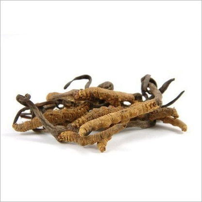 Kida Jadi-Cordyceps Sinensis-Raw Herbs-Keeda Jadi-Single Herbs