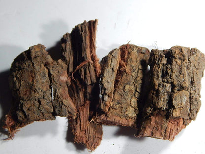 Kachnar Bark - Dried Kachnaar Chaal -कचनार छाल - Kanchnar Chhal - Raw Herbs Bauhinia variegata Jadi Booti