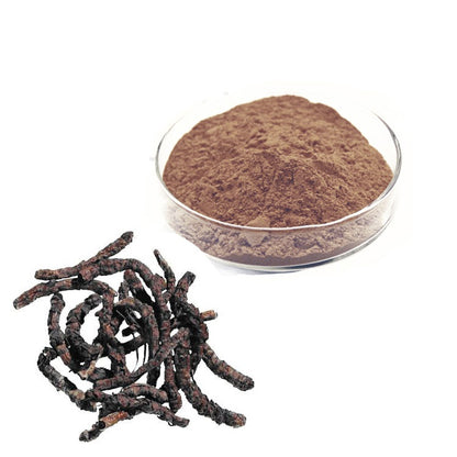 Kutki Root Powder-Katuki Jadd Powder-कुटकी की जड़ का पाउडर-Kutaki Roots Powder-Picrorhiza Kurroa-Raw Herbs-Jadi Booti