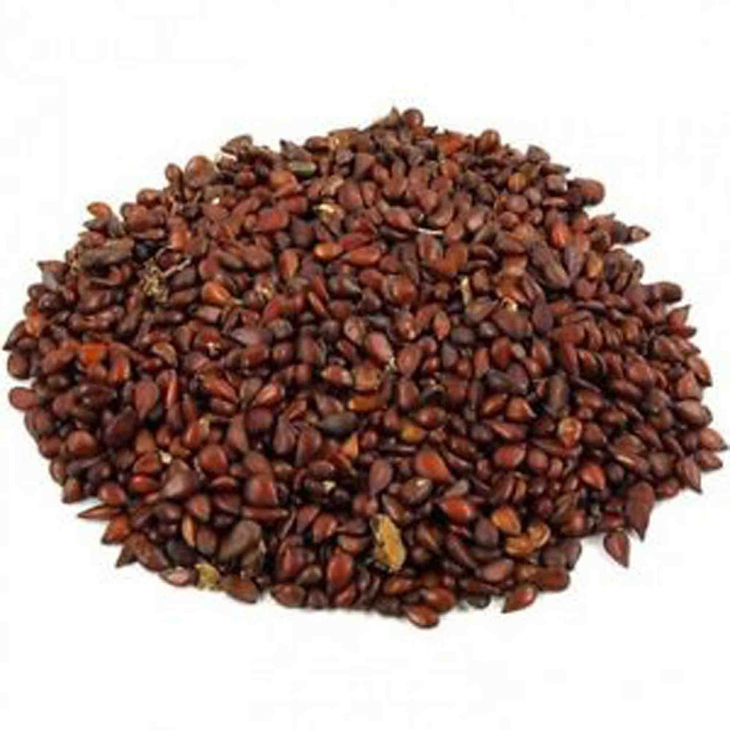 Beedana-Bidana-बिदाणा-Quince Seeds-Bahee Dana-Pyrus cydonia-Raw Herbs-Jadi Booti