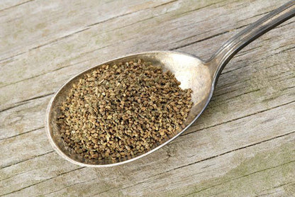 Ajwain -Ajmod Beej - Celery Seeds -अजवायन- Tukhme Karafs - Apium Graveolens - Van Ajwain - Pahadi Ajwine