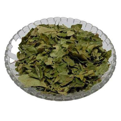 Kadi Patta - Kari Leaf - Meetha Neem -कड़ी पत्ता- Curry Leaves