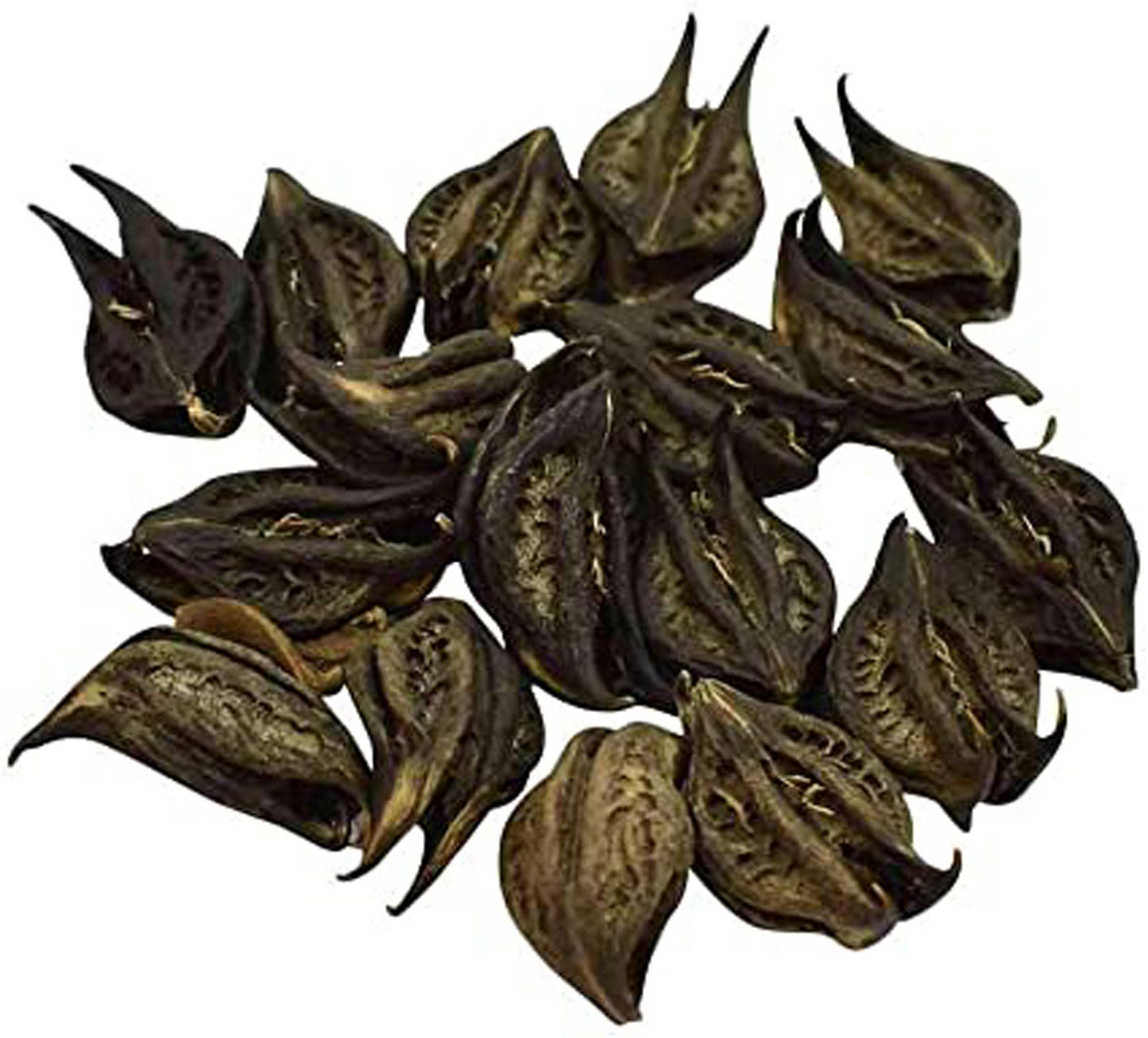 Bichhu Phal-Bicchu Fal-बिच्छू फल-Biccho Phal-Kaknasa Dried-Martynia Annua-Raw Herbs-Jadi Booti