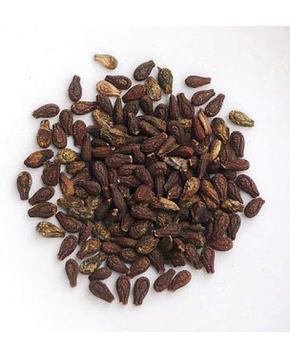 Shivlingi Seeds-Shivlingi Beej-शिवलिंगी बीज-Bryonia Laciniosa-Raw Herbs-Jadi Booti