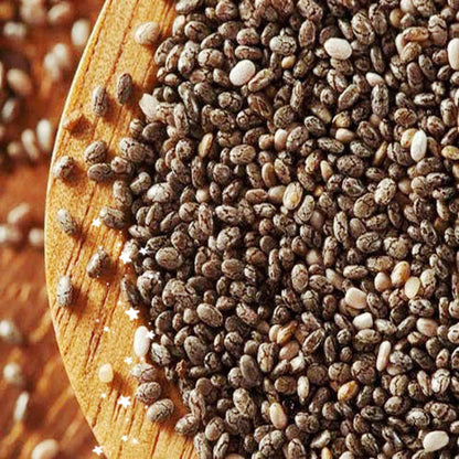 Chia Seeds-Chia Beej-चिया बीज-Tokma Dana Edible-Salvia Hispanica