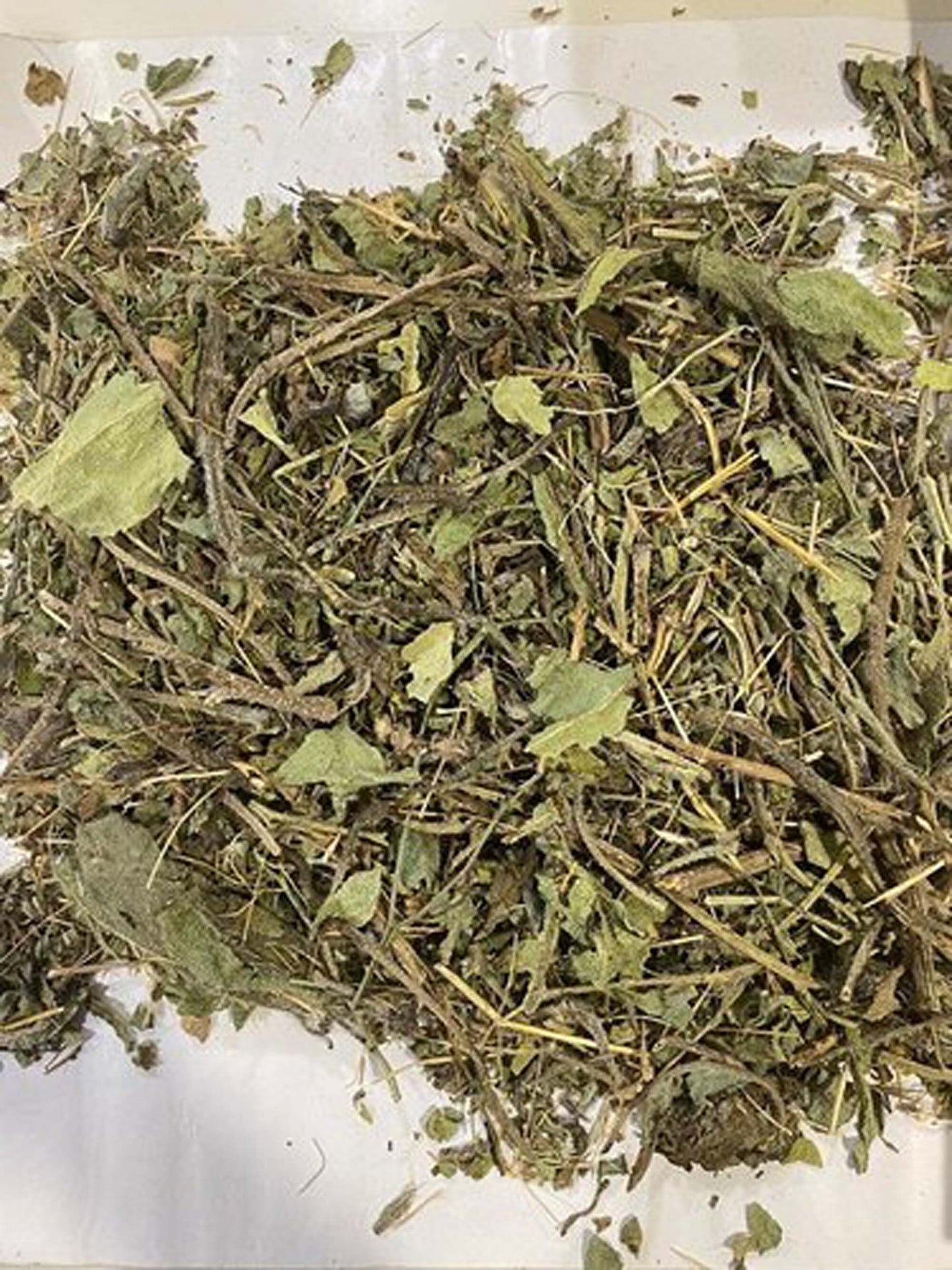 Gaozaban-Gaojaban-Sedge-गाओज़ाबन-Onosma Bracteatum Dried-Borago officinalis-Gojivha-Raw Herbs-jadi Booti