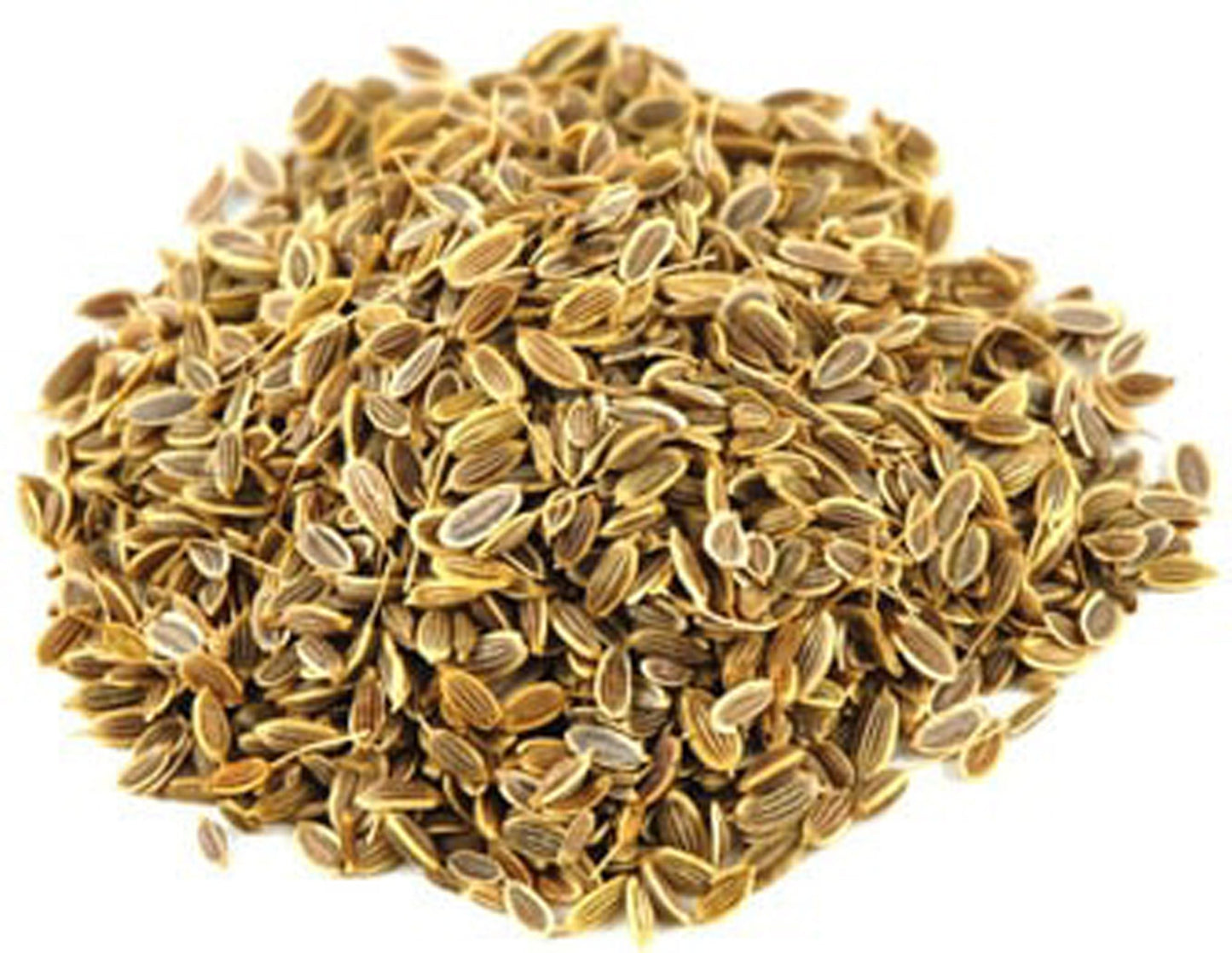 Sua Seeds-Beej Suaa-सुआ बीज-Dilseed-Shatapushpa-Suva Seed-Anethum Graveolens-Raw Herbs-Jadi Booti