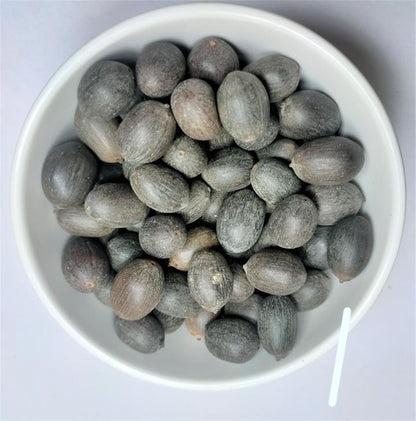 Kamal Gatta - Kamal Beej - Lotus Seeds -कमल गट्टा -कमल बीज Nelumbo Nucifera Raw Herbs-Jadi Booti