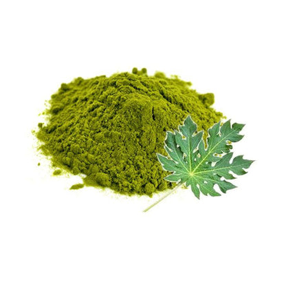 Papita Patta Powder-Papeeta Patta Powder-पपीता पत्ता पाउडर-Papaya Leaf Powder-Raw Herbs-Jadi Booti