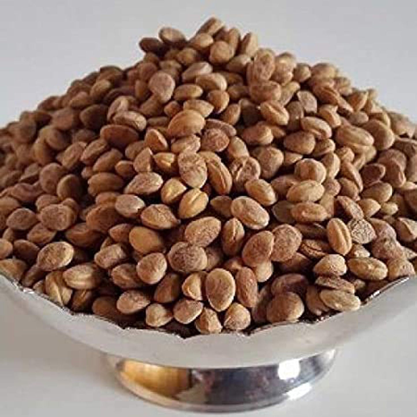 Chironji Dana-Almondette Seeds-चिरौंजी दाना-Cuddapah Almond-Buchanania lanzan-Exquisite and Delighted Dry Fruits