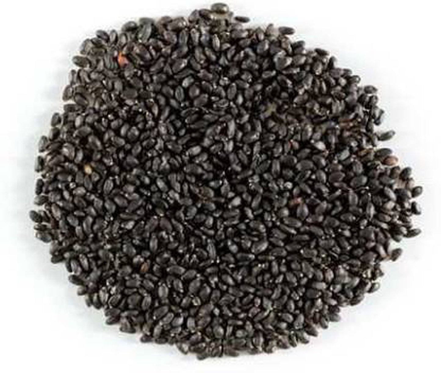 Tukmaria Choti Beej-Sabja Seeds-तुकमरिया छोटी बीज-Ocimum basilicum-Raw Herbs-Jadi Booti