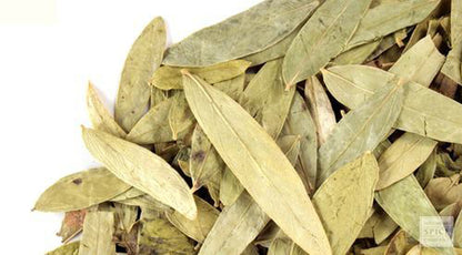 Rasna Leaves-Rasnai Leaf Raw Herbs-रसना पत्तियां-Ray Sanay Patti-Rai Senna dried -Pluchea Lanciolata Jadi Booti