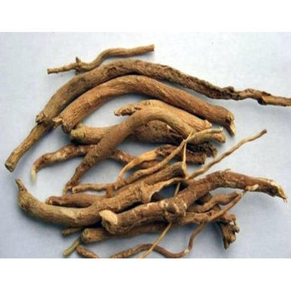 Punarnava Roots-sathi Jadd Raw Herbs-पुनर्नवा जड़ें- Boerhavia Diffusa Jadi Booti