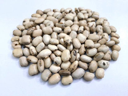 Kaunch Seeds White-Kauch Beej-कौच बीज-Konch-Mucuna pruriens-Raw herbs-Jadi Booti