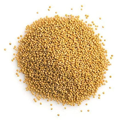 Yellow Mustard Seed-पीली सरसों बीज-Sarso Peeli-Brassica alba-Sinapis Alba