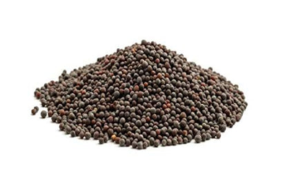 Black Mustard Seed-सरसों बीज-Rai-Sarso Kali-Brassica Nigro-Sarson Kaali