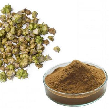 Gokhru Small Powder-Gokharu Chota Powder-गोखरू छोटा पाउडर-Pedalium Murex-Caltrops-Raw Hebs-Jadi Booti